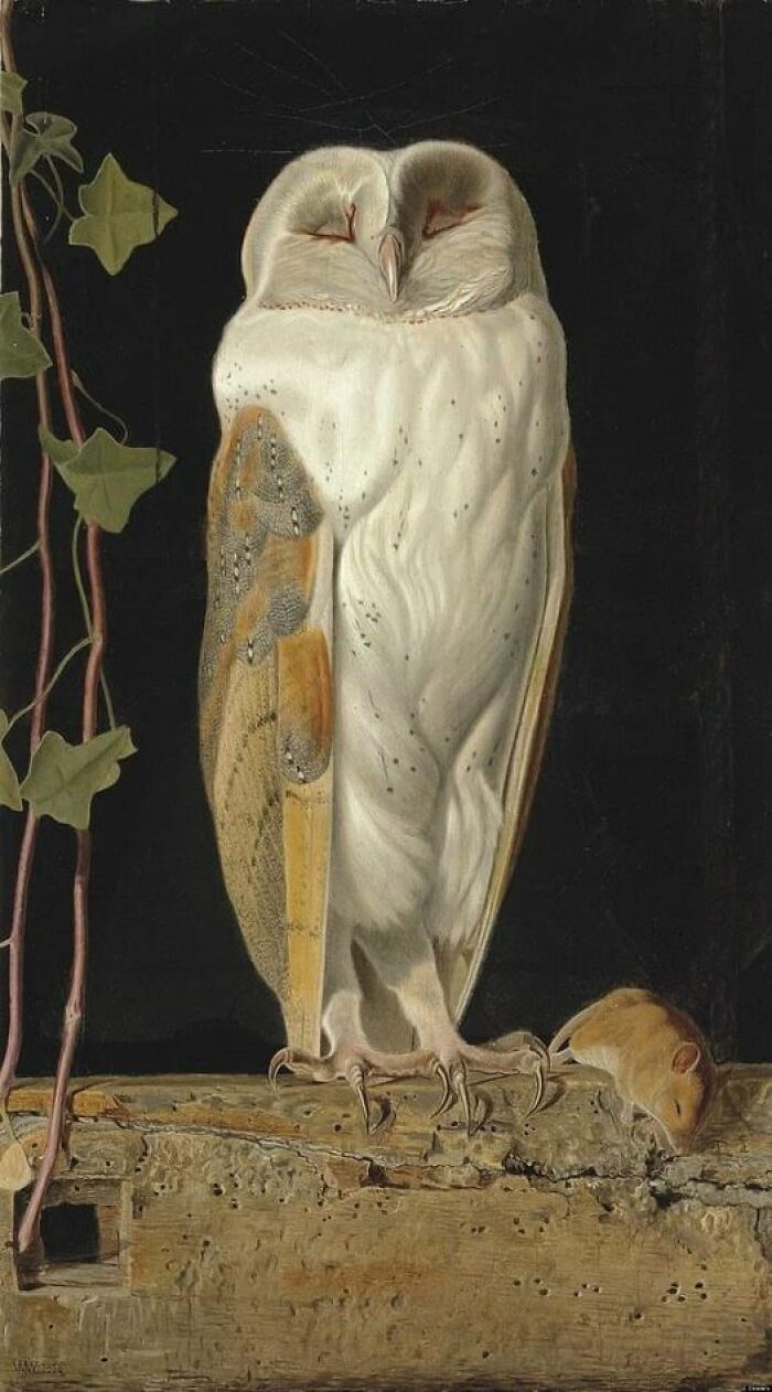 The White Owl, William James Webbe, 1856