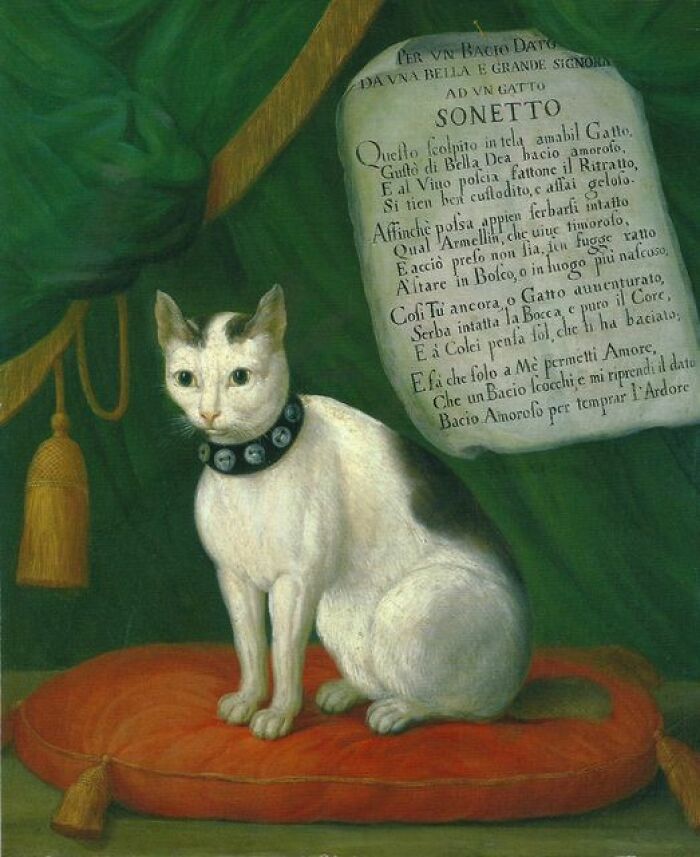 Portrait Of The Cat Armellino With A Sonnet By The Abbott, Bertazzi, Giovanni Reder C.1750