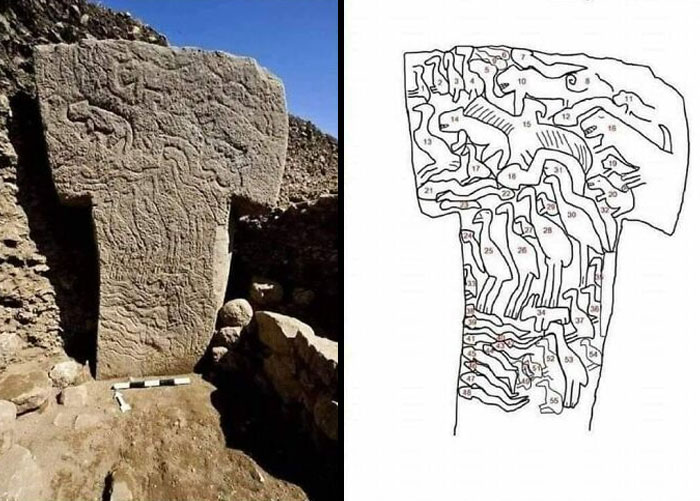 Detalles de una de las columnas T de Göbekli Tepe. Tiene aproximadamente 12.000 años, lo que la hace notablemente más antigua que las pirámides egipcias y Stonehenge