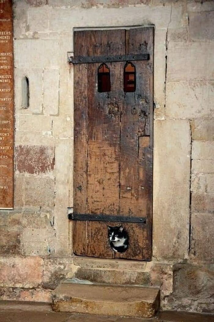 Se cree que esta puerta del siglo XIV de la catedral de Exeter (Reino Unido) tiene la gatera más antigua que existe