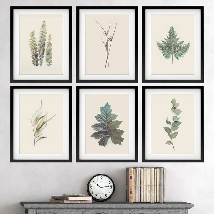 Six framed leaves wall art 