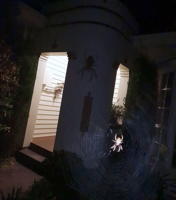 I Almost Walked Into This Guy Until My Phone Light Illuminated It On My House