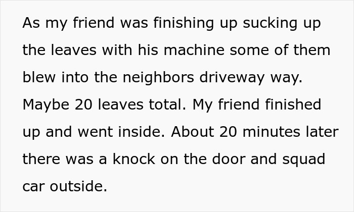 Neighbor Calls Police Because Of A Few Leaves, Regrets It After This Guy Gets Revenge Neighbor Calls Police Because Of A Few Leaves, Regrets It After This Guy Gets Revenge