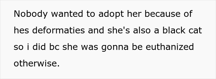 Sister Freaks Out Over Brother's 'Demonic' Cat, Bans Him From Seeing Her Kids Unless The Cat Goes Sister Freaks Out Over Brother's 'Demonic' Cat, Bans Him From Seeing Her Kids Unless The Cat Goes