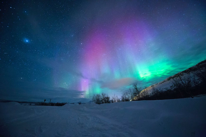 The Northern Lights in a snowy weather 