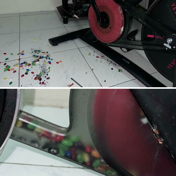 My Wife's Stationary Bike Just Became A Jellybean Dispenser