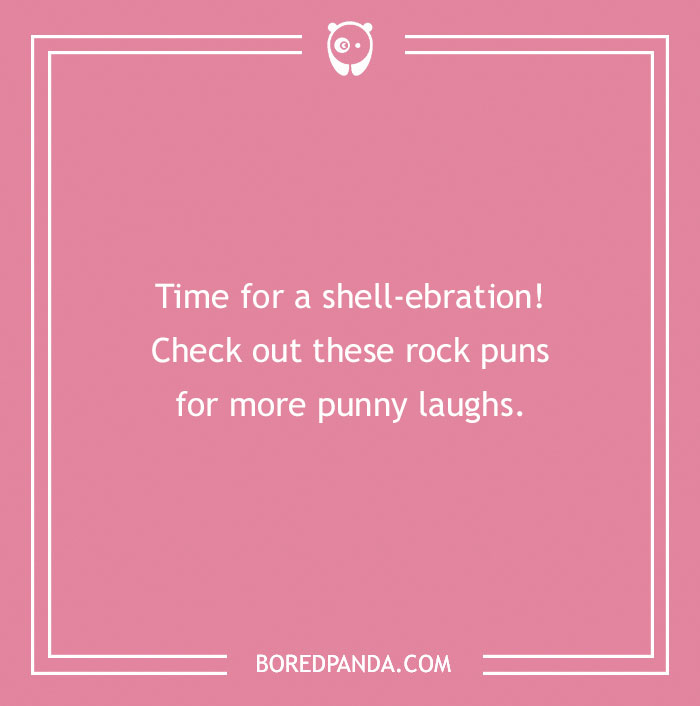 Pink background with text about shell-ebration and rock puns for beach puns to make you roll in the water.