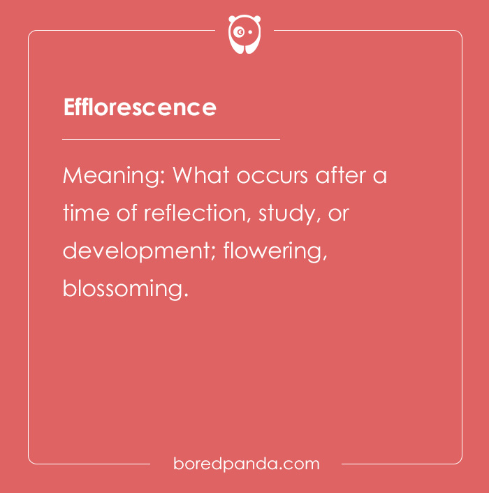 150 Euphonious Beautiful Words To Add To Your Dictionary