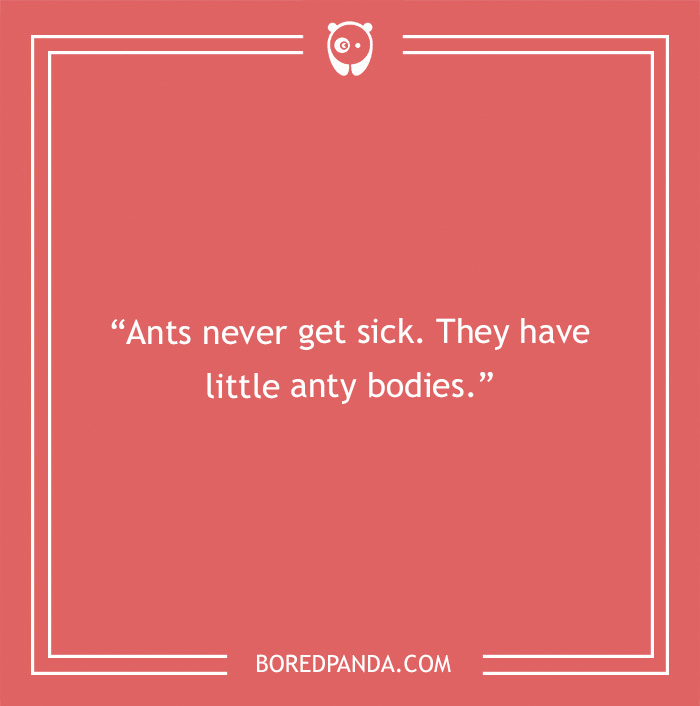 Biology joke about ants 