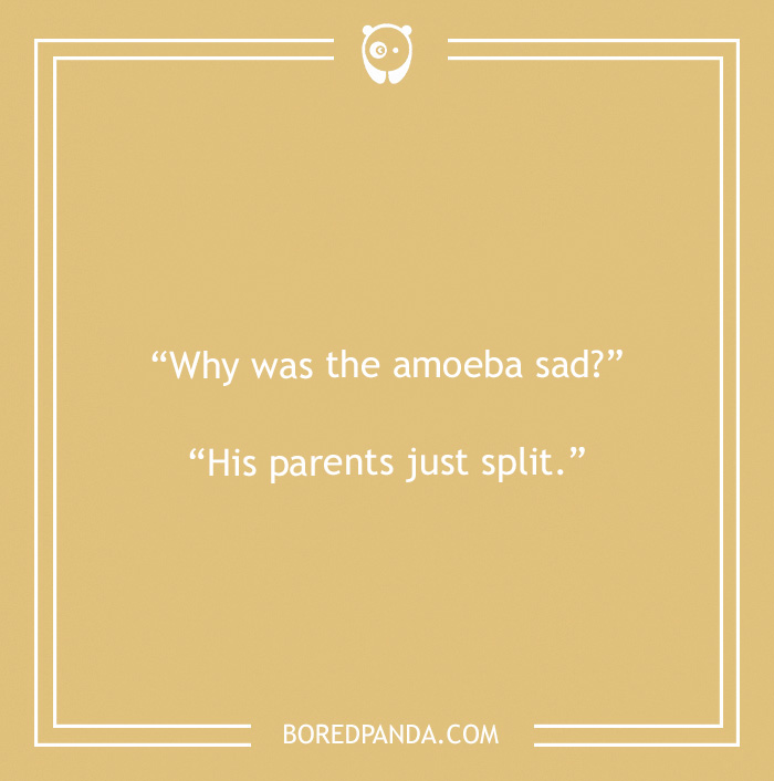 Biology joke about amoeba 