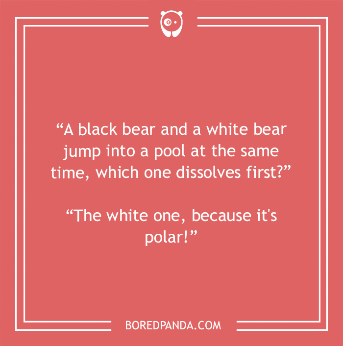 Biology joke about black bear and white bear 