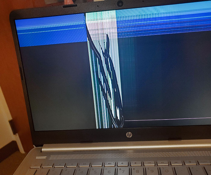The Laptop I Bought Online On Black Friday