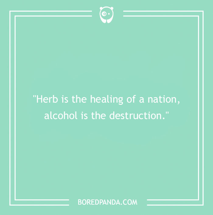 161 Inspirational Bob Marley Quotes From The Reggae Icon