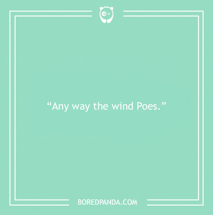 Book puns image with text: “Any way the wind Poes” on a green background.
