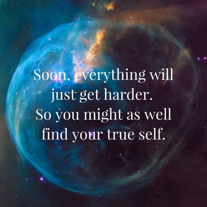 I Can't! I Don't Have Any Epic Catfruit!