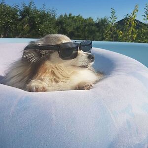 kristel_hoydal avatar