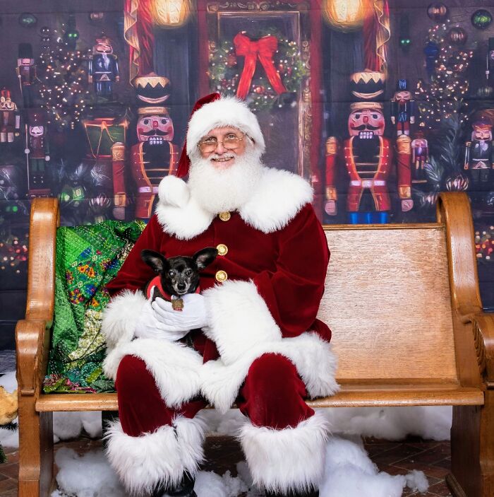 My Little Dog Russell, A Chiweeny, Met Santa Paws Last Year!