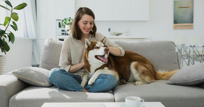 Can Dogs Laugh? Understanding Your Dog’s Sense of Humor