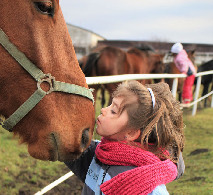 Mom Allows 7 Y.O. To Ride A Pony To School, Causing Entitled Parent To Go Off On Her Mom Allows 7 Y.O. To Ride A Pony To School, Causing Entitled Parent To Go Off On Her