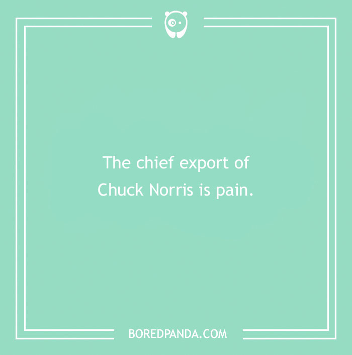 "Mint green Chuck Norris joke image with text: 'The chief export of Chuck Norris is pain.'"