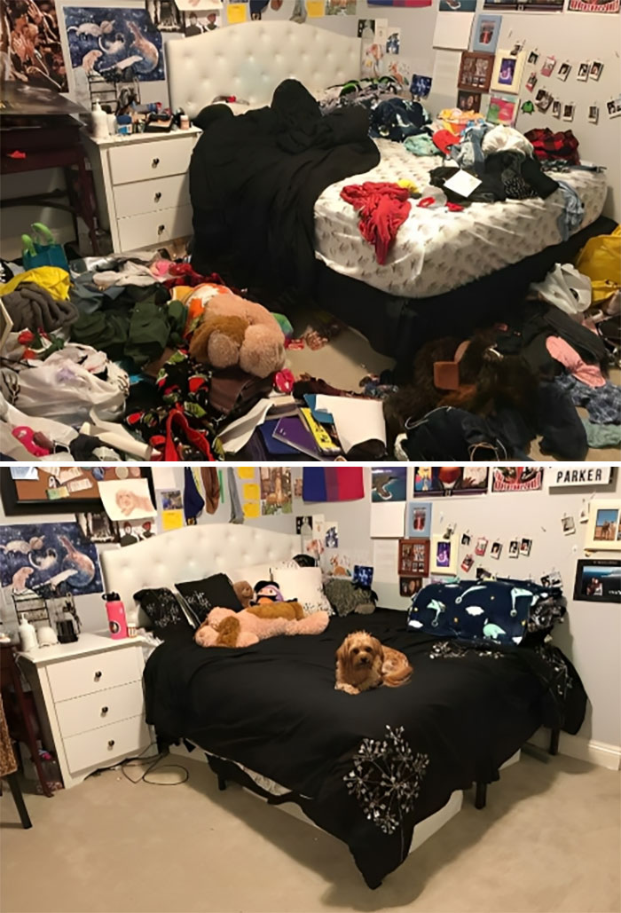 Recently Had A Bad Episode Of A Couple Months Of Depression. Finally Cleaned My Room