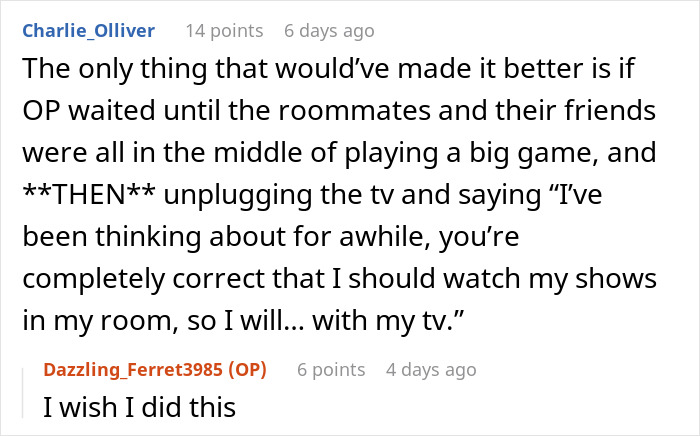 Woman Teaches Entitled Housemates A Lesson After They Start Policing Her Use Of Her Own TV