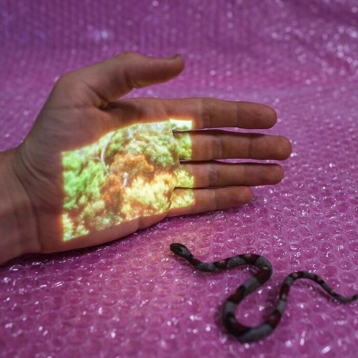 Handscapes, By Kai Wasikowski