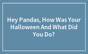 Hey Pandas, How Was Your Halloween And What Did You Do? (Closed)