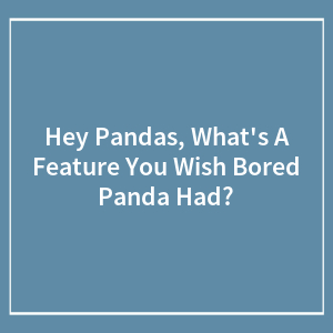Hey Pandas, What's A Feature You Wish Bored Panda Had? (Closed)