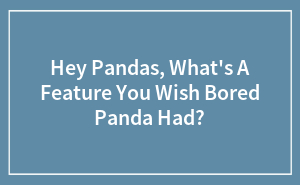 Hey Pandas, What's A Feature You Wish Bored Panda Had? (Closed)