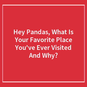 Hey Pandas, What Is Your Favorite Place You've Ever Visited And Why? (Closed)