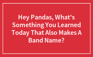 Hey Pandas, What's Something You Learned Today That Also Makes A Band Name? (Closed)