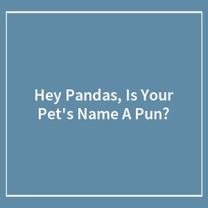 Hey Pandas, Is Your Pet's Name A Pun? (Closed)