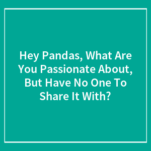 Hey Pandas, What Are You Passionate About, But Have No One To Share It With? (Closed)