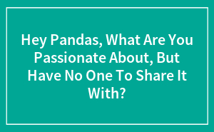 Hey Pandas, What Are You Passionate About, But Have No One To Share It With? (Closed)