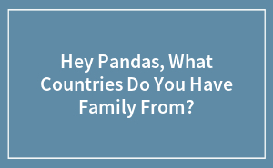 Hey Pandas, What Countries Do You Have Family From? (Closed)
