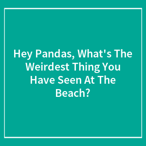 Hey Pandas, What's The Weirdest Thing You Have Seen At The Beach? (Closed)