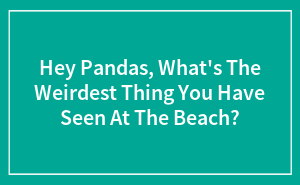 Hey Pandas, What's The Weirdest Thing You Have Seen At The Beach? (Closed)