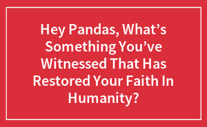 Hey Pandas, What’s Something You’ve Witnessed That Has Restored Your Faith In Humanity? (Closed)