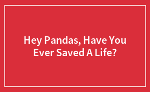 Hey Pandas, Have You Ever Saved A Life? (Closed)