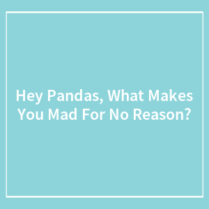 Hey Pandas, What Makes You Mad For No Reason? (Closed)
