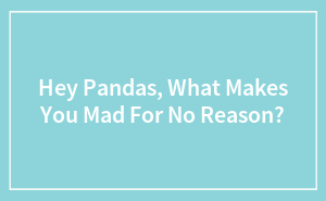 Hey Pandas, What Makes You Mad For No Reason? (Closed)