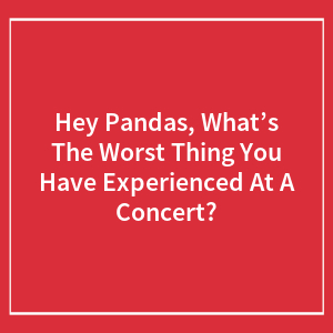 Hey Pandas, What’s The Worst Thing You Have Experienced At A Concert?