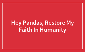 Hey Pandas, Restore My Faith In Humanity (Closed)