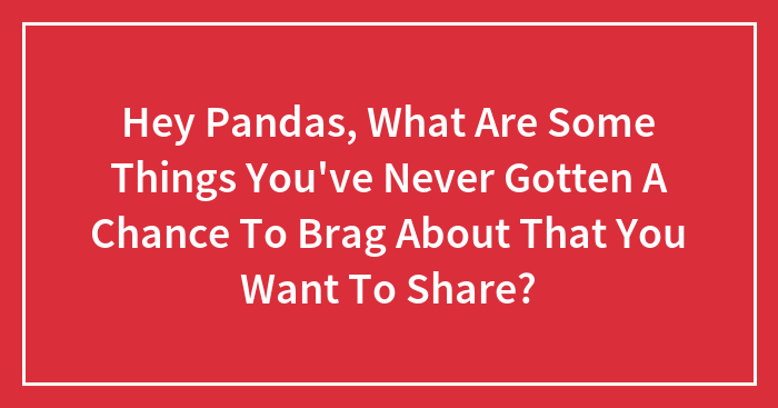 Hey Pandas, What Are Some Things You’ve Never Gotten A Chance To Brag About That You Want To Share? (Closed)