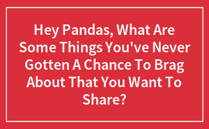 Hey Pandas, What Are Some Things You've Never Gotten A Chance To Brag About That You Want To Share? (Closed)