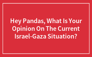 Hey Pandas, What Is Your Opinion On The Current Israel-Gaza Situation? (Closed)