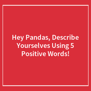 Hey Pandas, Describe Yourselves Using 5 Positive Words! (Closed)