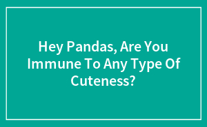 Hey Pandas, Are You Immune To Any Type Of Cuteness? (Closed)
