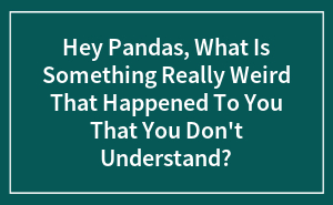 Hey Pandas, What Is Something Really Weird That Happened To You That You Don't Understand? (Closed)